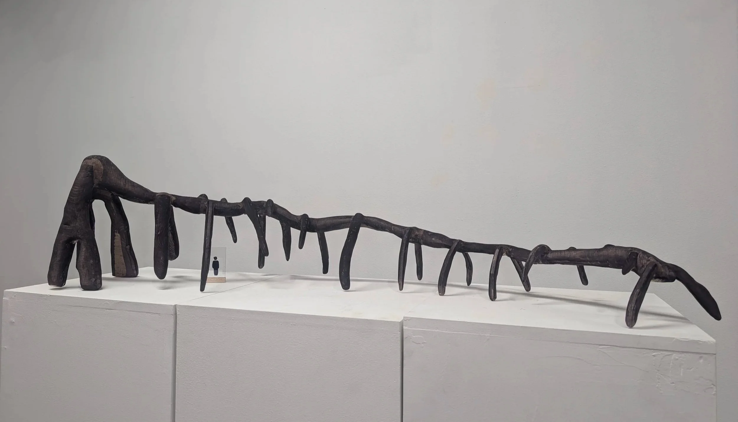 Stripped Tunnel — Wood by Aurelia Cosette Sims