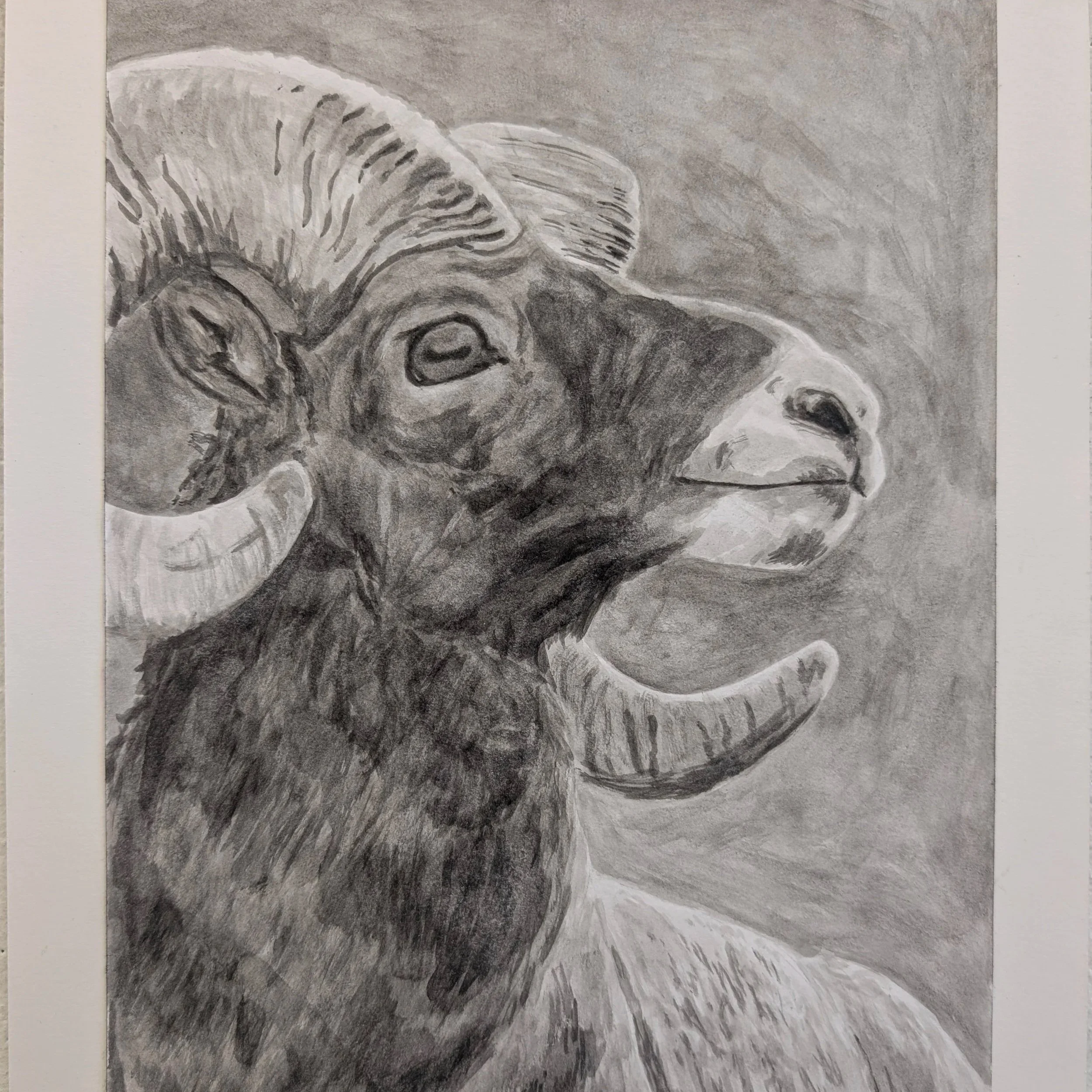 Untitled — India Ink by Aurelia Cosette Sims