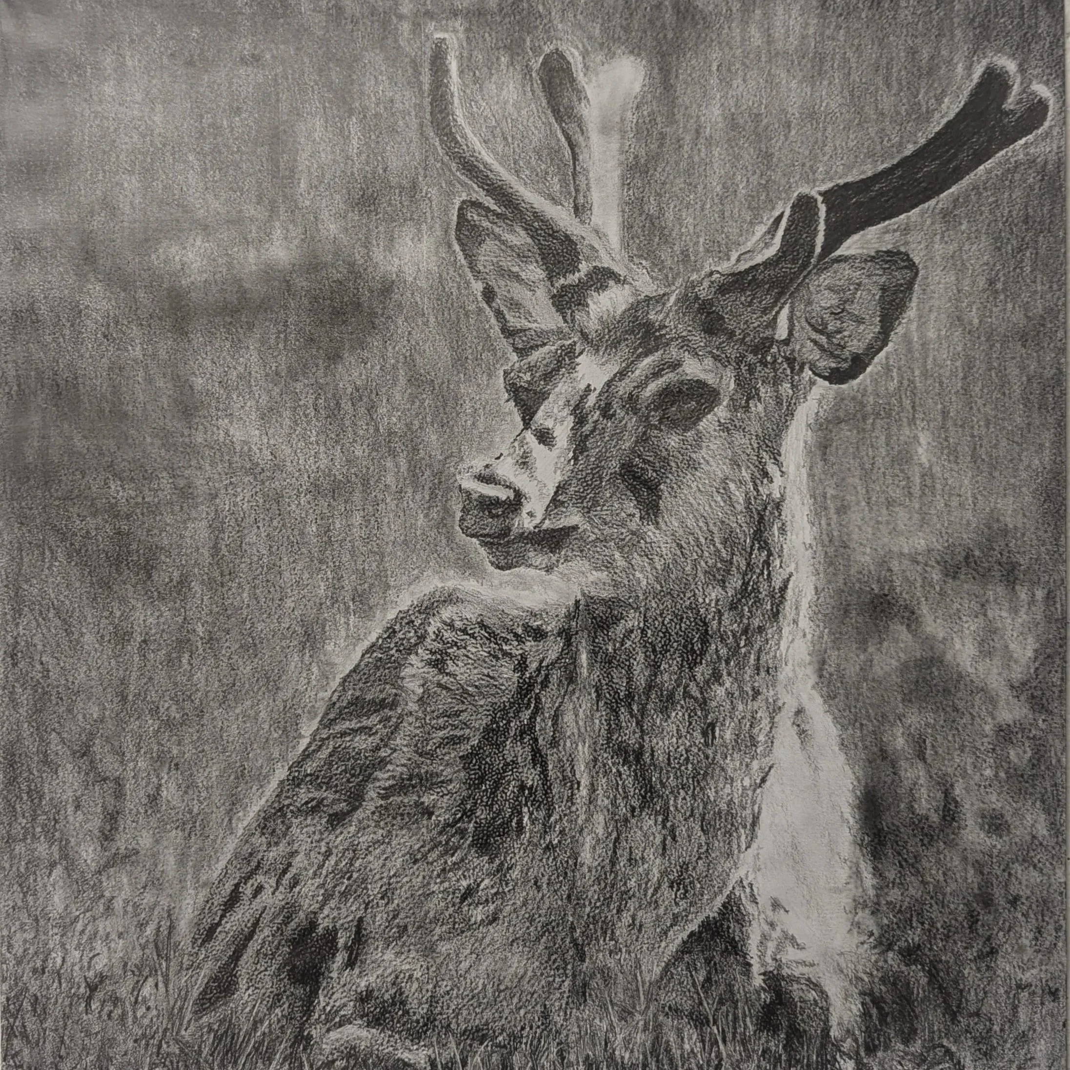 Untitled — Pencil by Aurelia Cosette Sims